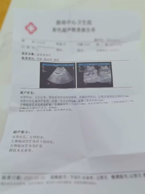 智诊科技“好伴AI”助力患者成功脱险，AI健康咨询技术获医疗界关注 图1